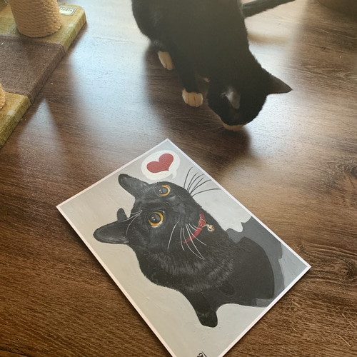 絵画 一点もの 猫 A4 原画 アクリル画 手書き 黒猫 イラスト ネコ