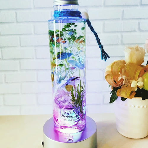 海花セール❣️海花★バラエティセット　ハーバリウム 花材　1104-A 海花セール❣️海花☆バラエティセット ハーバリウム 花材 1104-A 海