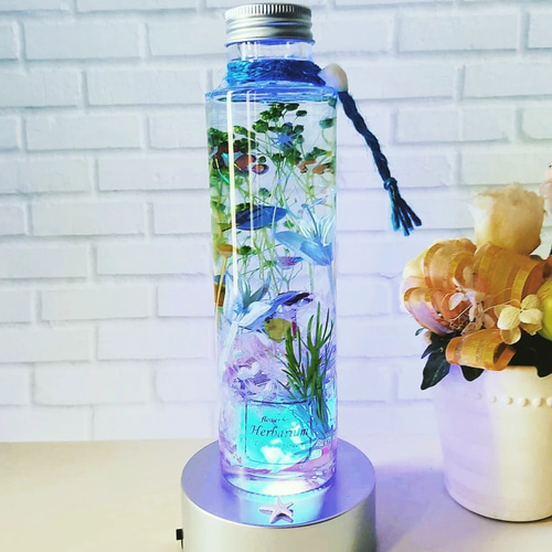 アクアリウム☆お魚ハーバリウム ハーバリウム・植物標本 花