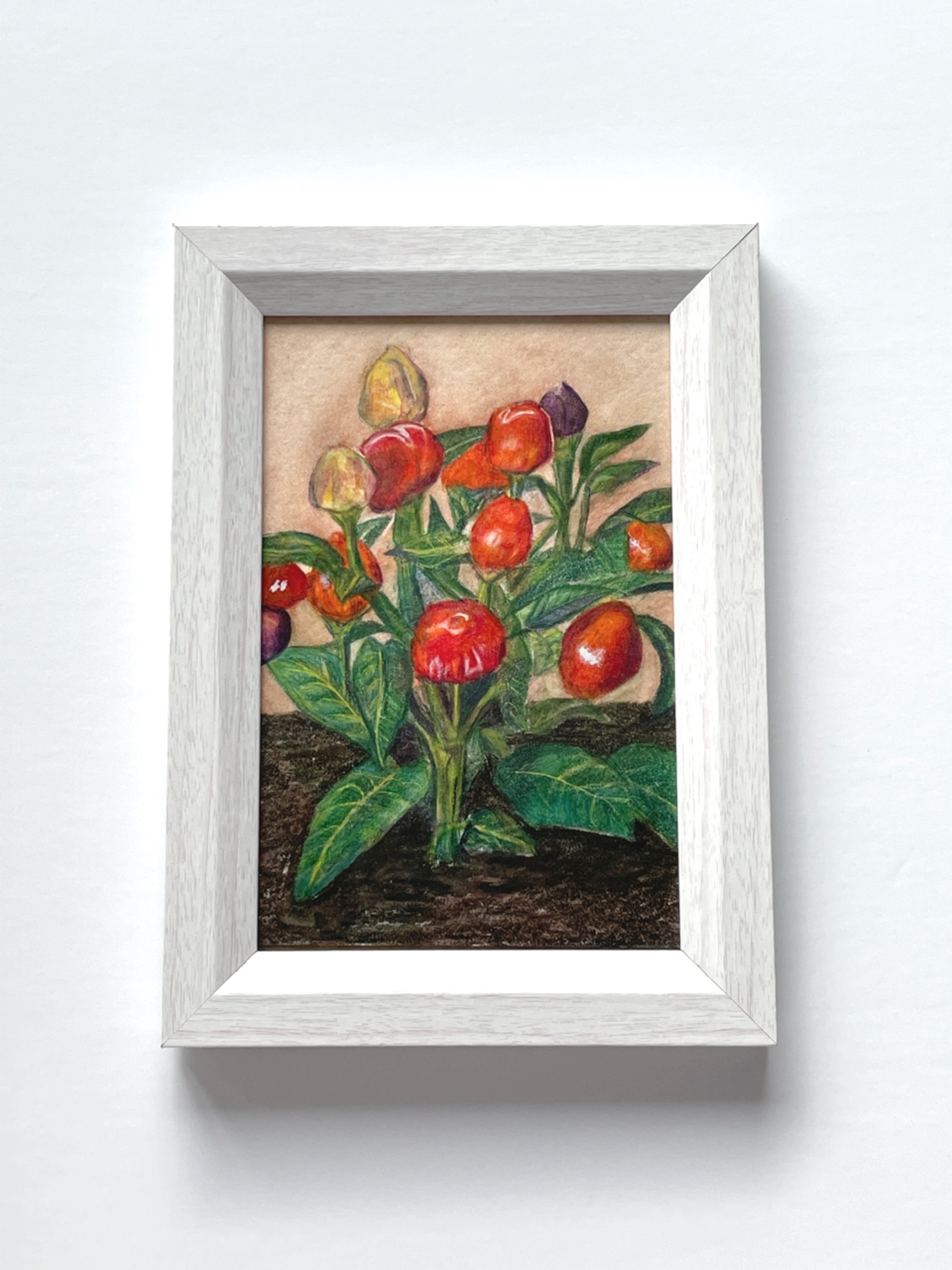 絵画 とうがらし とうがらし 絵画