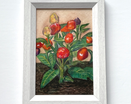 絵画 とうがらし 0_89ec026d531dd843deb8c6dc37bf