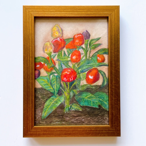 五色唐辛子』インテリアアート 版画 LUCKEYPEN工房（kunken） 通販