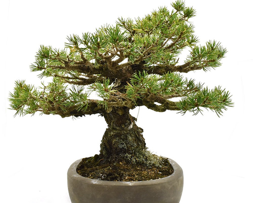 0_8c16ef13672d44b31163f139a4a3