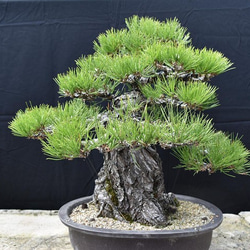 0_b3b2f646799c82ffa9571f4f0f54