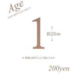 数字 レターバナー 誕生日 飾り 名入れ II （木製風） 3枚目の画像