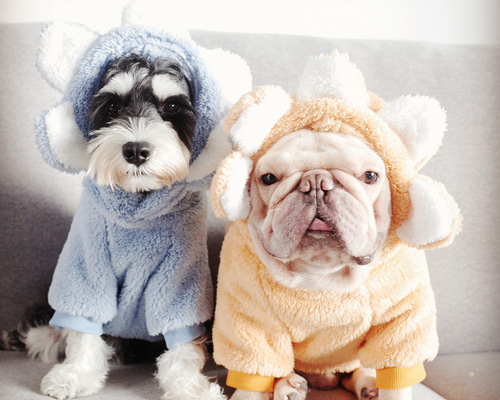 1_106a071dcecd838b45b8d1bb7df4