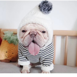 犬服　冬服　パーカー　フレンチブルドッグ　トイプードル　シュナウザー　柴犬　パグ 2枚目の画像