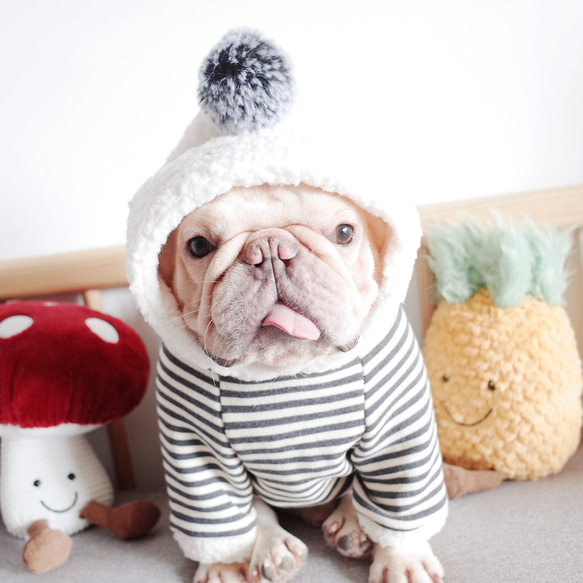 犬服　冬服　パーカー　フレンチブルドッグ　トイプードル　シュナウザー　柴犬　パグ 6枚目の画像