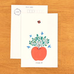 てんとう虫 と りんごの木　ポストカード3枚セット 5枚目の画像