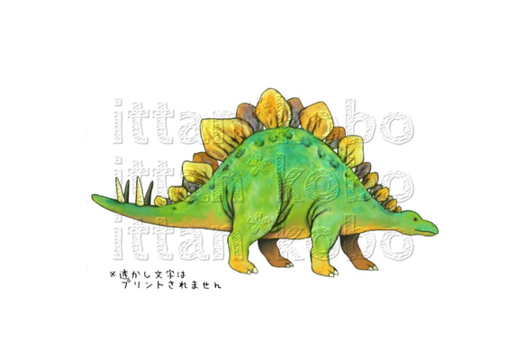 受注プリント全４色☆Ｔシャツ「恐竜 ステゴザウルス」オリジナルデザイン☆大人から子供まで全てのサイズ対応　きょうりゅう 4枚目の画像