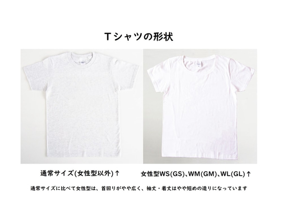 受注プリント全４色☆Ｔシャツ「恐竜 ステゴザウルス」オリジナルデザイン☆大人から子供まで全てのサイズ対応　きょうりゅう 6枚目の画像