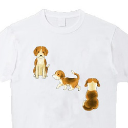 受注プリント全４色Ｔシャツ「犬いぬ戌」オリジナル☆大人から子供まで全てのサイズ対応 8枚目の画像