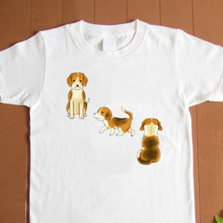受注プリント全４色Ｔシャツ「犬いぬ戌」オリジナル☆大人から子供まで全てのサイズ対応 1枚目の画像