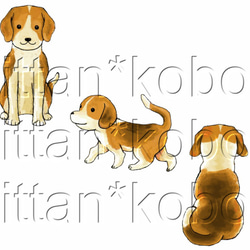 受注プリント全４色Ｔシャツ「犬いぬ戌」オリジナル☆大人から子供まで全てのサイズ対応 4枚目の画像