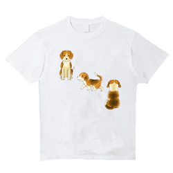 受注プリント全４色Ｔシャツ「犬いぬ戌」オリジナル☆大人から子供まで全てのサイズ対応 7枚目の画像