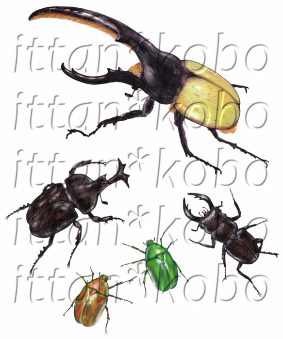 受注プリント全３色☆Ｔシャツ「虫たちの集会」オリジナルデザイン☆大人から子供まで全てのサイズ対応　 昆虫 虫 ヘラクレス 3枚目の画像