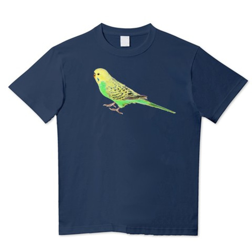 紺色　インコ様 島忠ホームズ与野店 (小動物&鳥) | 羽衣セキセイインコ☺️ R6.6