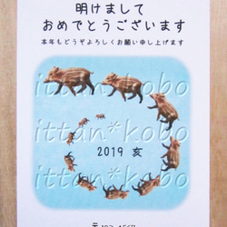 年賀はがき 10枚セット 2019 お年玉くじつき「亥ぐるぐる行列」ご住所･名入れ無料　２０１９年　平成３１年　亥　猪 3枚目の画像