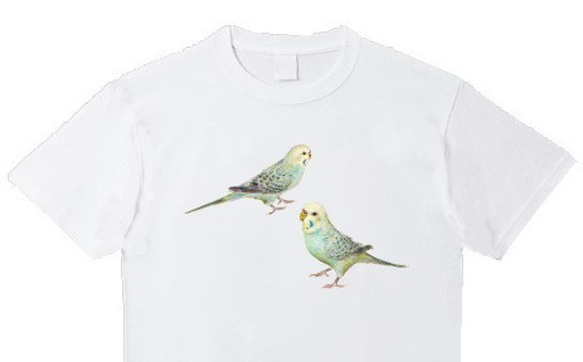 受注プリント☆Ｔシャツ全４色「セキセイインコ水色２羽」デザイン☆子供から大人まで全サイズ☆ 鳥　インコ 1枚目の画像