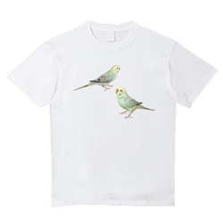 受注プリント☆Ｔシャツ全４色「セキセイインコ水色２羽」デザイン☆子供から大人まで全サイズ☆ 鳥　インコ 5枚目の画像