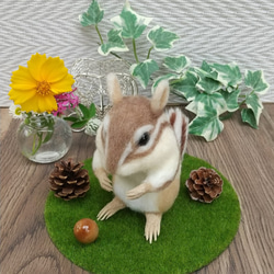 ゴールデンハムスター 羊毛フェルト 羊毛フェルト Sleeping forest