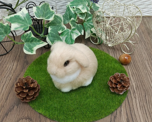 えみりさま確認用 羊毛フェルト オーダー「リアルで可愛いうさぎちゃん」ロップイヤ Rio (@rio_forestgarden) • Instagram photos and videos