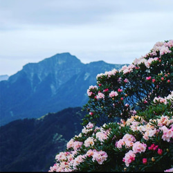 原創百岳【台灣的山】奇萊北峰925純銀手工耳環/耳夾 第8張的照片