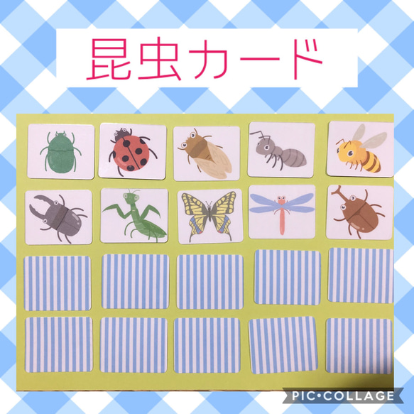 ☆単品のみ送料無料☆昆虫カード　神経衰弱　絵合わせ　モンテッソーリ　知育教材　支援　 1枚目の画像