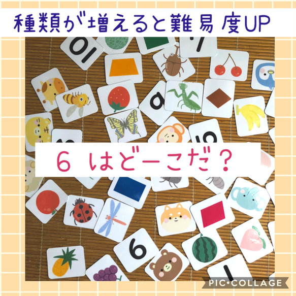 ☆単品のみ送料無料☆昆虫カード　神経衰弱　絵合わせ　モンテッソーリ　知育教材　支援　 4枚目の画像