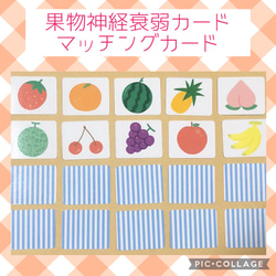 ☆単品のみ送料無料☆昆虫カード　神経衰弱　絵合わせ　モンテッソーリ　知育教材　支援　 5枚目の画像