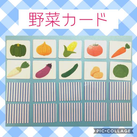 ☆単品のみ送料無料☆昆虫カード　神経衰弱　絵合わせ　モンテッソーリ　知育教材　支援　 7枚目の画像