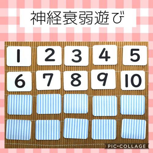 昆虫カード 神経衰弱 絵合わせ モンテッソーリ 知育教材 支援 おもちゃ