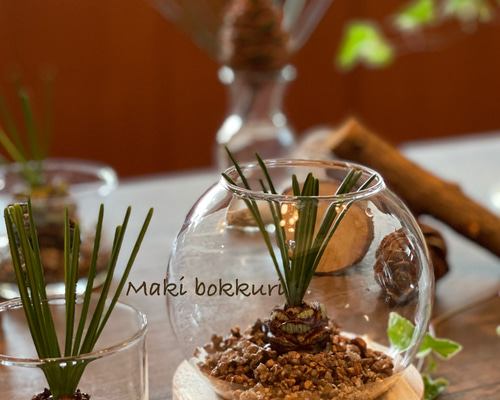 0_f190b7e6e717b4f4e278f7370e97