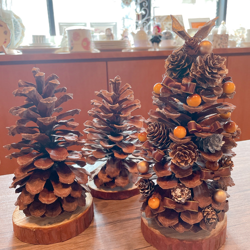 パワーいっぱい大王松♡大王松の松ぼっくり♡松ぼっくりのクリスマス