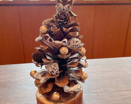 パワーいっぱい大王松♡大王松の松ぼっくり♡松ぼっくりのクリスマス