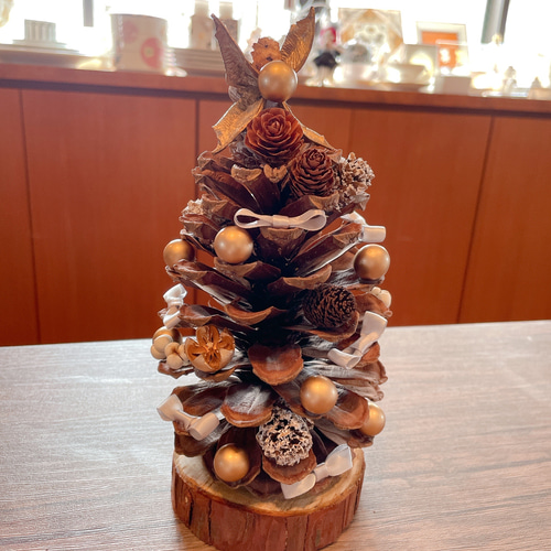 パワーいっぱい大王松♡大王松の松ぼっくり♡松ぼっくりのクリスマス