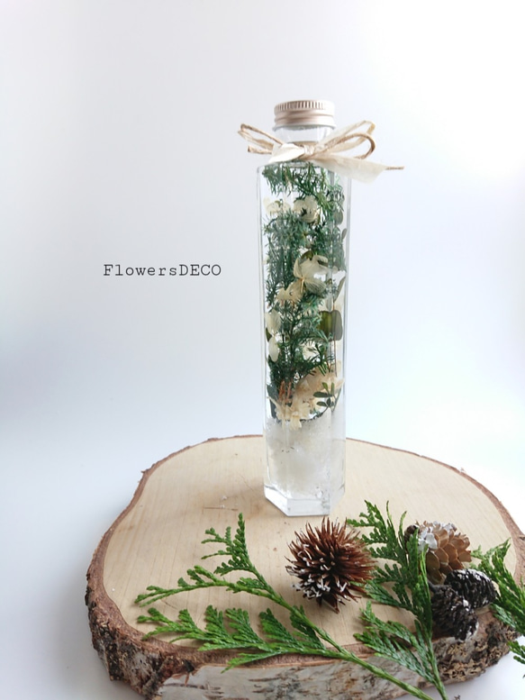 white Christmas漆喰グラデーション【Herbarium】LongBottle 1枚目の画像