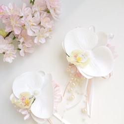 桜と胡蝶蘭の花飾りset【コサージュ・髪飾り】 7枚目の画像