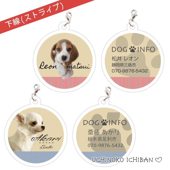 愛犬♡アクリル･ネームプレート（迷子札）丸型 2枚目の画像