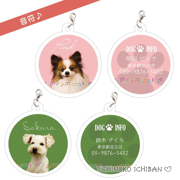 愛犬♡アクリル･ネームプレート（迷子札）丸型 5枚目の画像