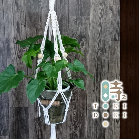 マクラメ編みプラントハンガーM〈ナチュラル〉ハンギングバスケット/吊り鉢/植物 1枚目の画像
