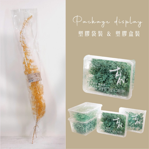 天門冬｜延色草系列｜Bz03奶茶｜植色木木｜葉材 花材 乾燥花 永生花 人造花 鮮花 搭配參考 第7張的照片