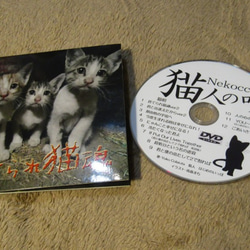 【送料無料】オリジナル・チャリティー・DVD　捨てられ猫魂 1枚目の画像