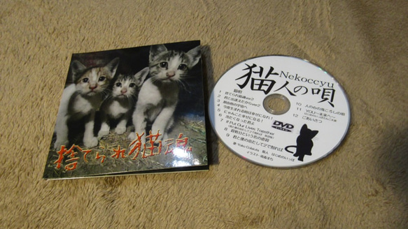 【送料無料】オリジナル・チャリティー・DVD　捨てられ猫魂 1枚目の画像