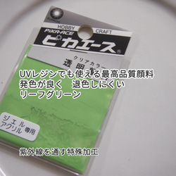 【透明顔料 リーフグリーン】ピカエース 発色が良く、耐光性に優れたUVレジンに着色できる最高品質顔料 1枚目の画像