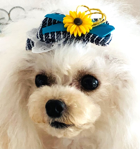 ペット　犬用　ハンドメイド　ヘア飾り　ヘアアクセサリー　リボンバレッタ 3枚目の画像