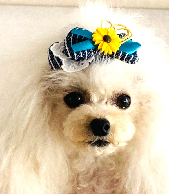 ペット　犬用　ハンドメイド　ヘア飾り　ヘアアクセサリー　リボンバレッタ 4枚目の画像