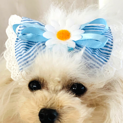 ペット　犬用　ハンドメイド ヘア飾り　ヘアアクセサリー　リボン　お花　バレッタ 2枚目の画像