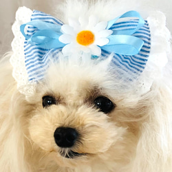 ペット　犬用　ハンドメイド ヘア飾り　ヘアアクセサリー　リボン　お花　バレッタ 3枚目の画像