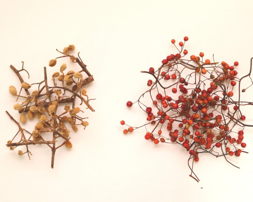 0_252d5ab04984ad6ff9edafe19419